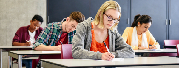 education strategy 600 x 230